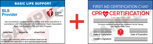 Sample American Heart Association AHA BLS CPR Card Certification and First Aid Certification Card from CPR Certification Little Rock
