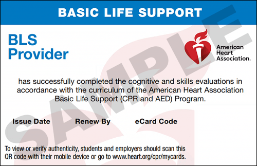 Sample American Heart Association AHA BLS CPR Card Certification from CPR Certification Little Rock